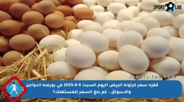 قفزة سعر كرتونة البيض اليوم السبت 9-8-2025 في بورصة الدواجن والأسواق.. كم بلغ السعر للمستهلك؟